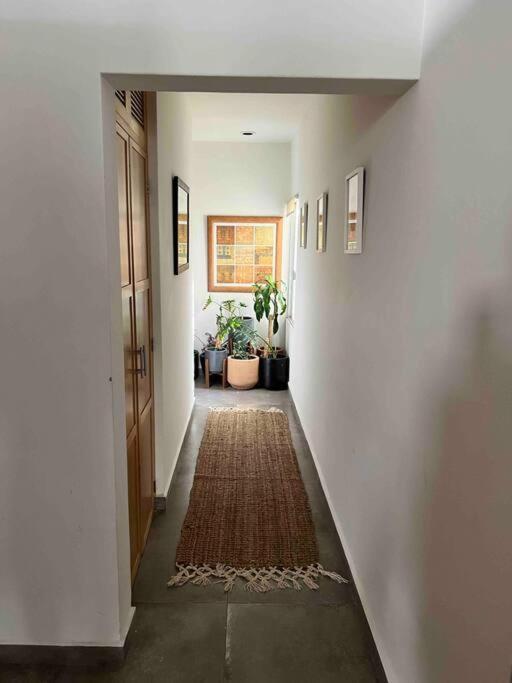 Cozy In Downtown Cabo. Walk To The