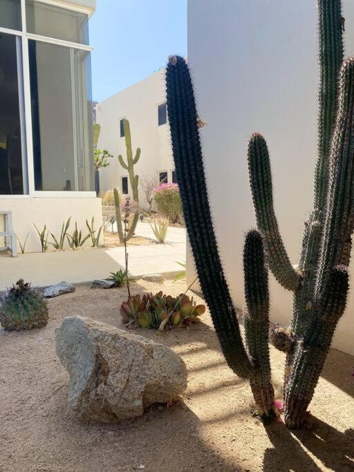 Cozy In Downtown Cabo. Walk To The Apartamento Cabo San Lucas