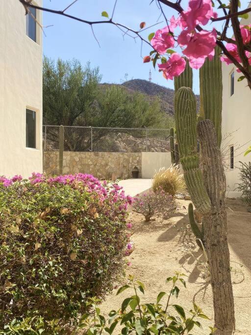 Cozy In Downtown Cabo. Walk To The Apartamento Cabo San Lucas